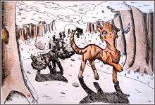 ilustrační obrázek