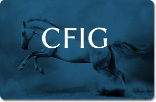 cfig01